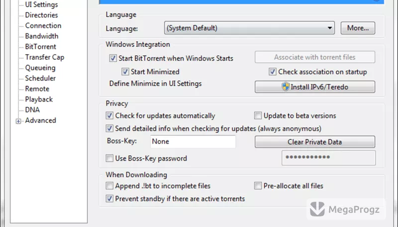 BitTorrent