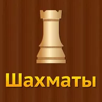 Шахматы