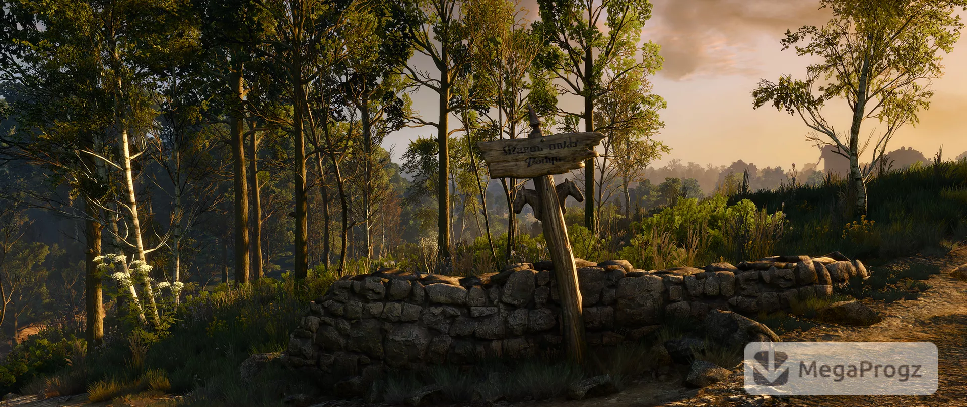 Witcher 3