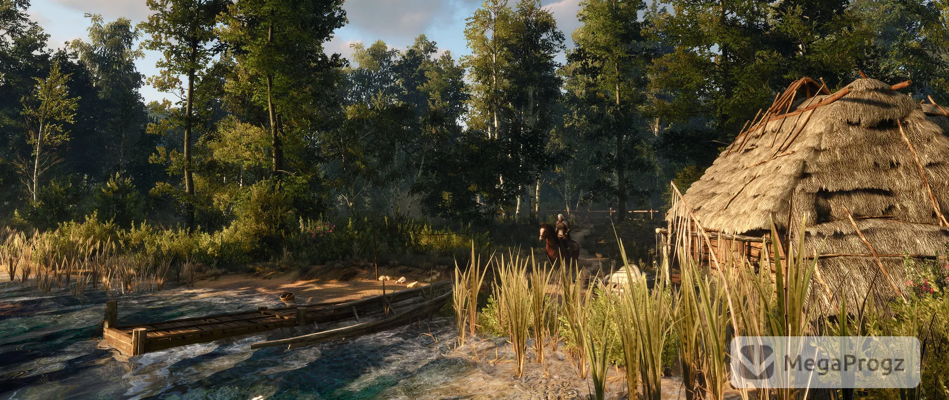 Witcher 3
