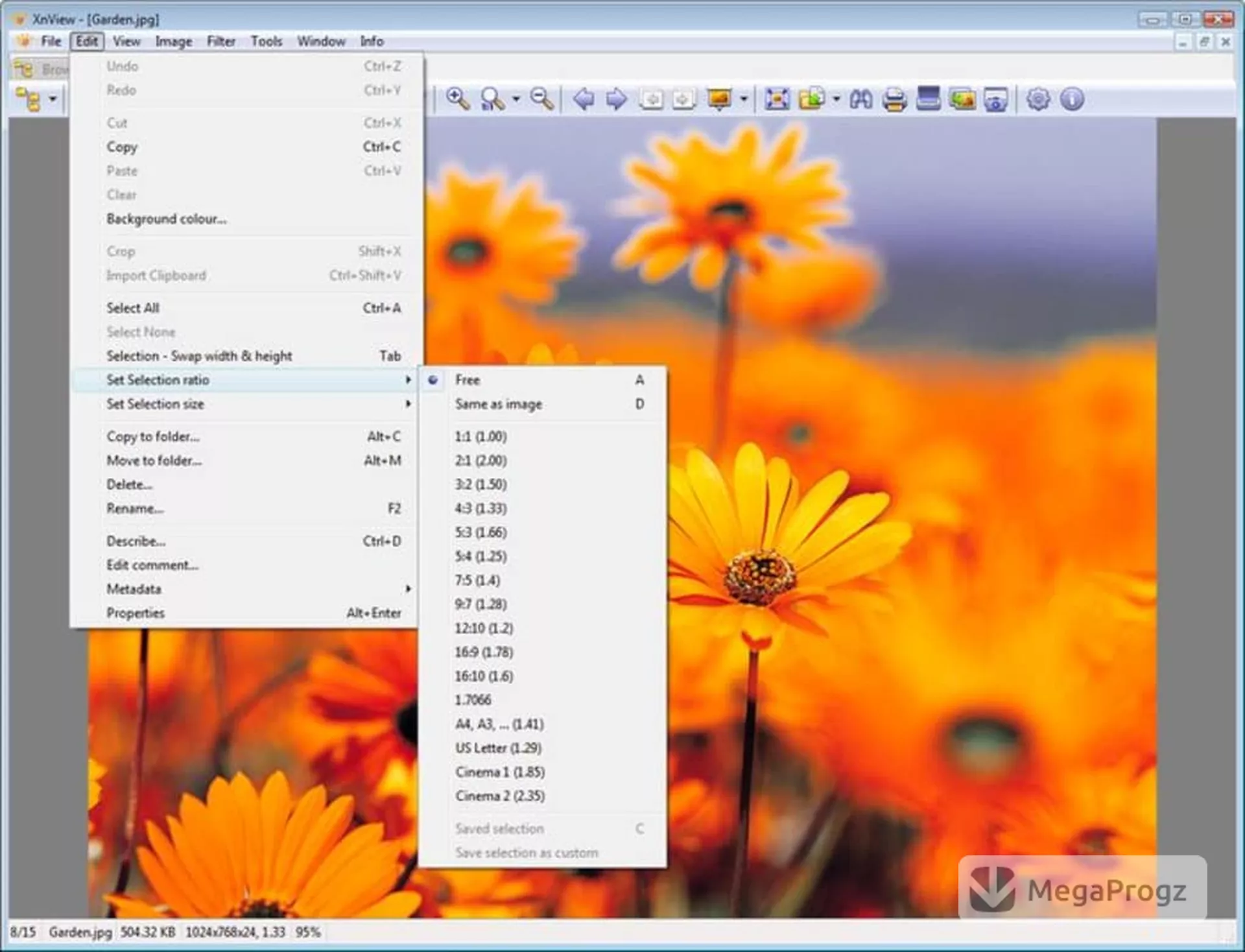 XnView