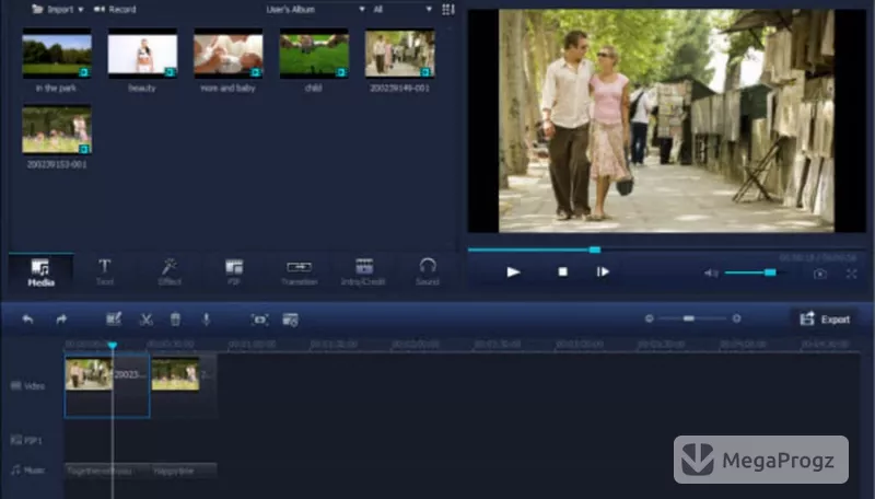 Wondershare Video Editor