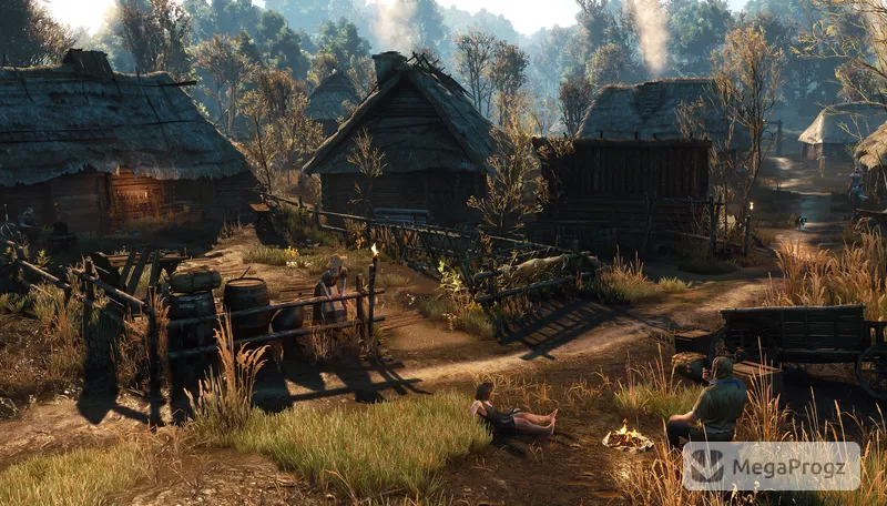 Witcher 3