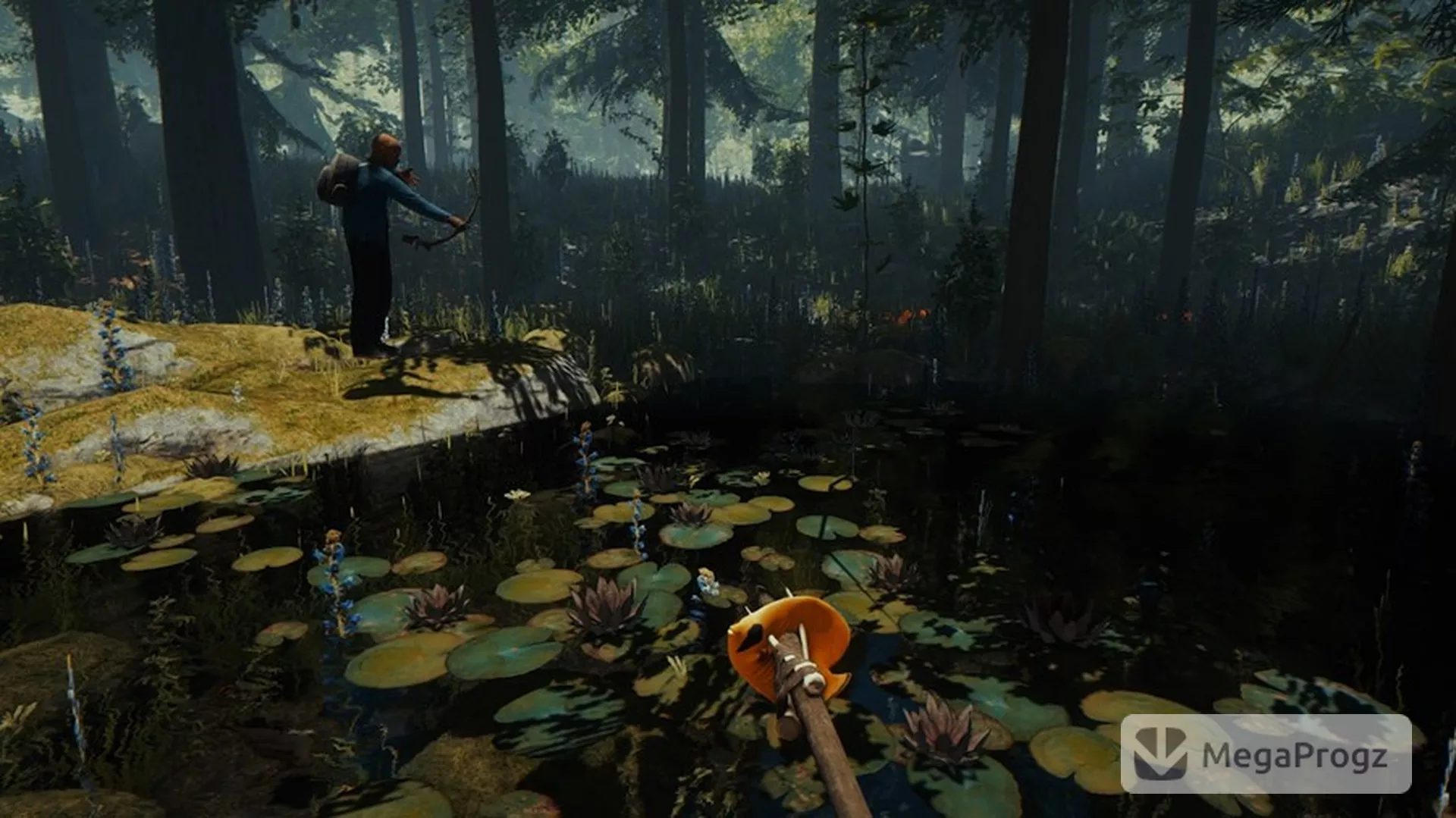 The Forest