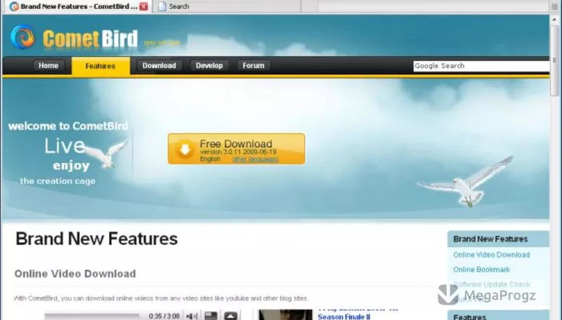 CometBird