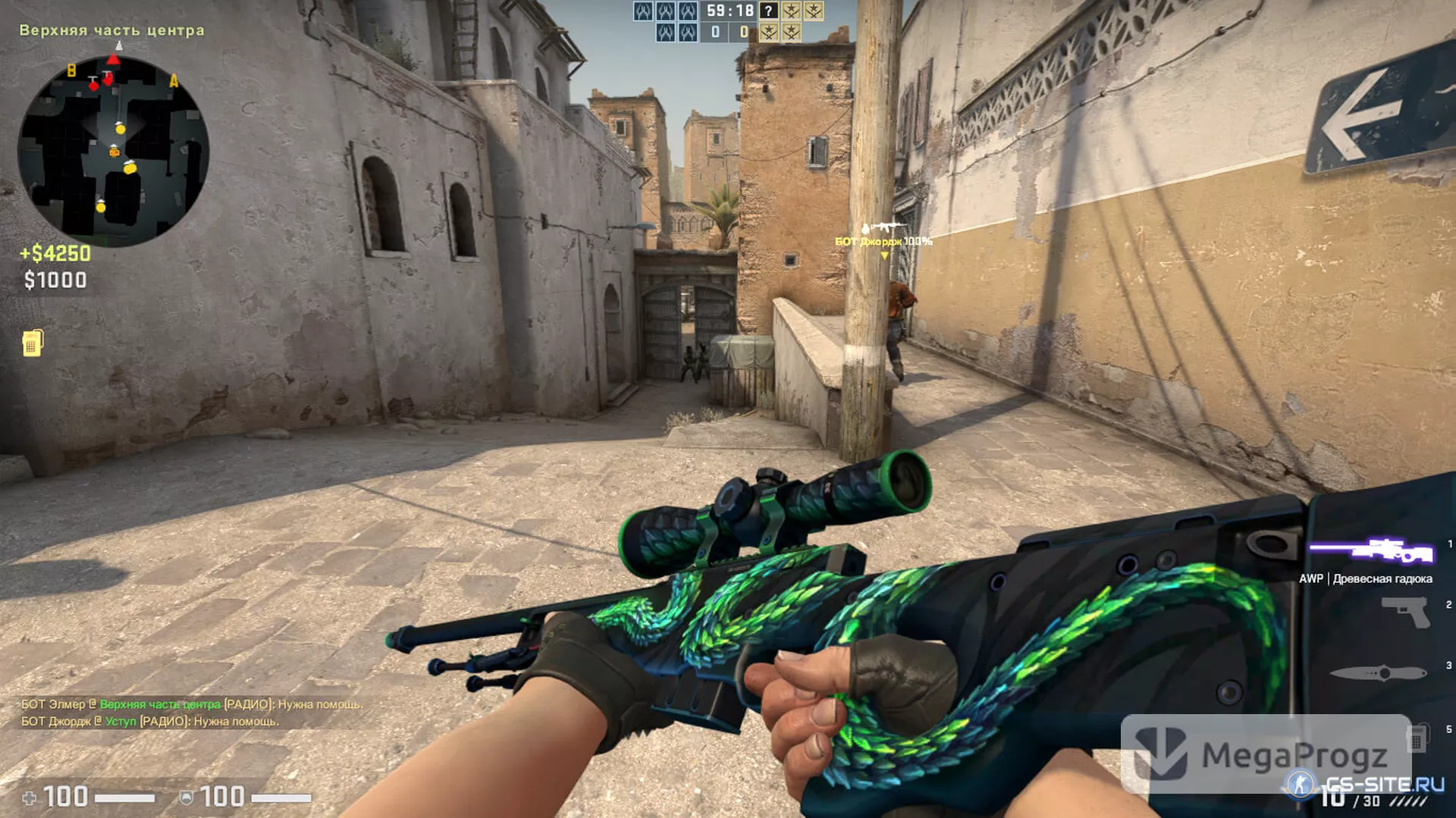 Counter-Strike Global Offensive