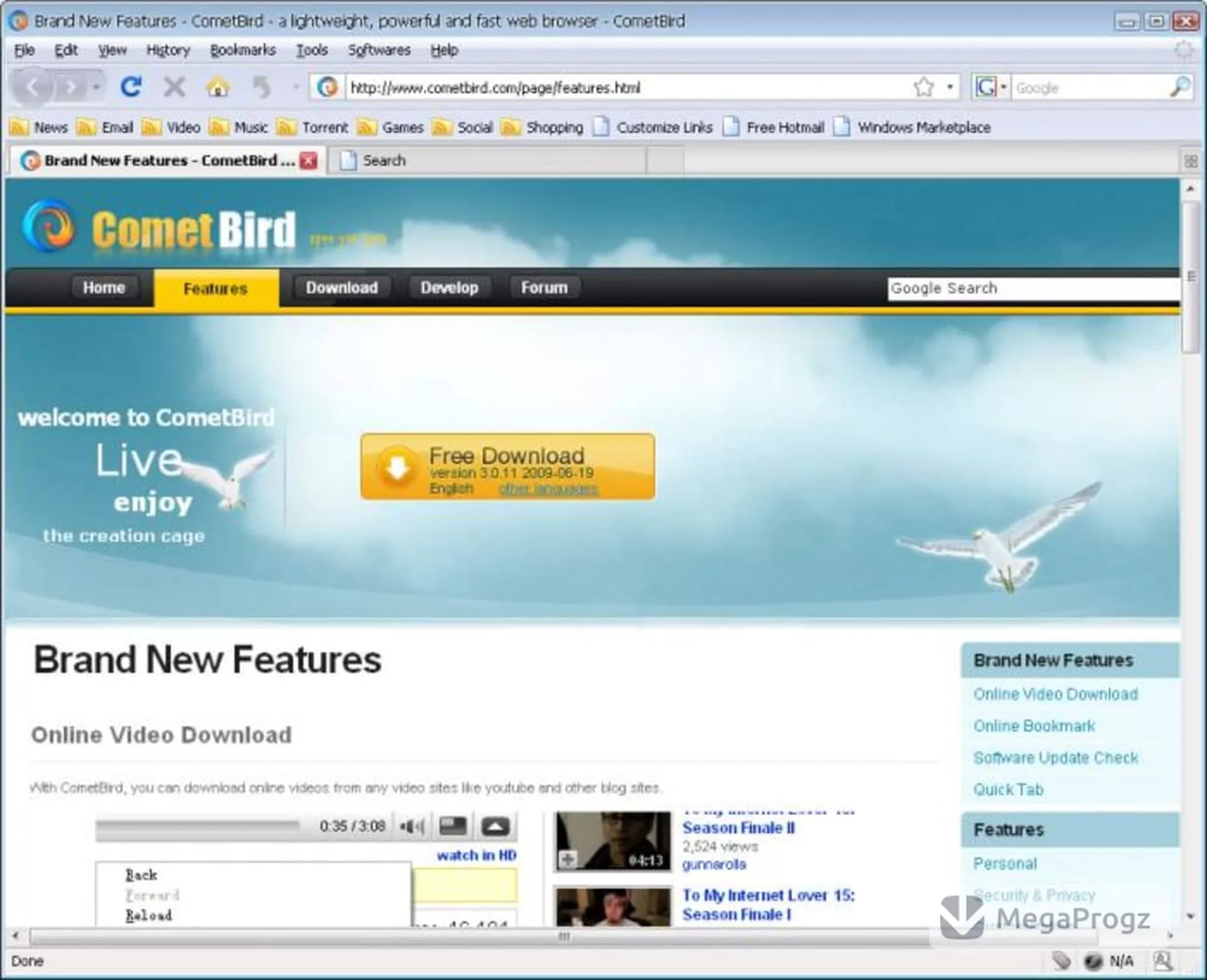 CometBird