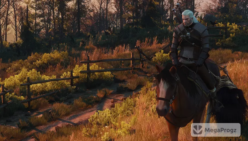 Witcher 3