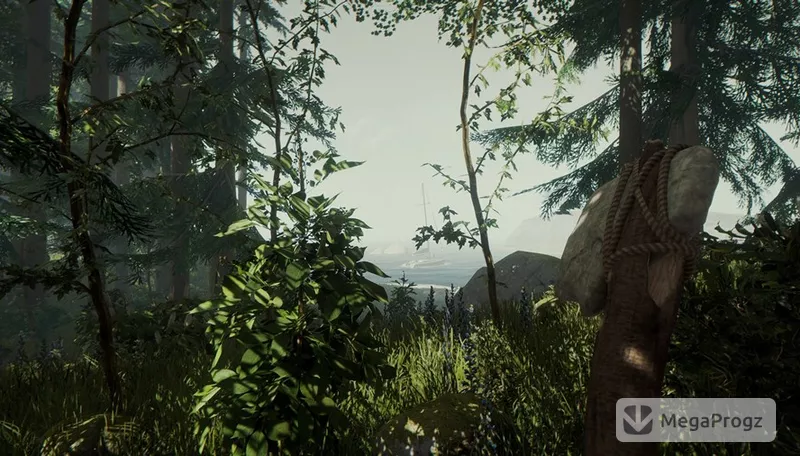 The Forest