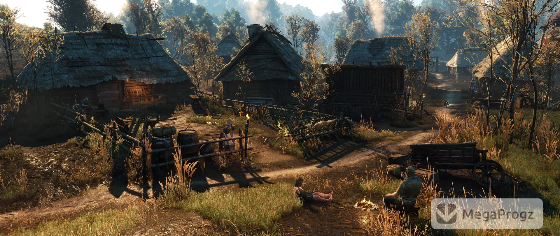 Witcher 3