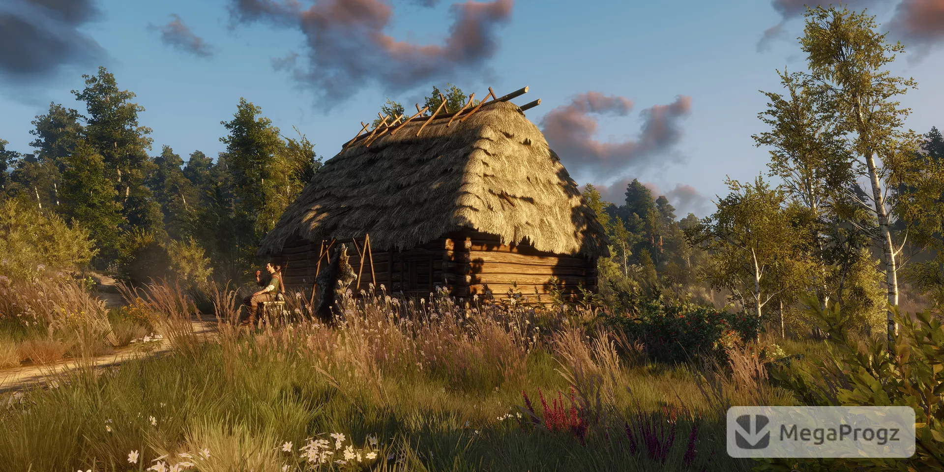Witcher 3