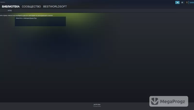 Steam