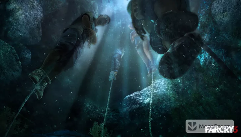Far Cry 3