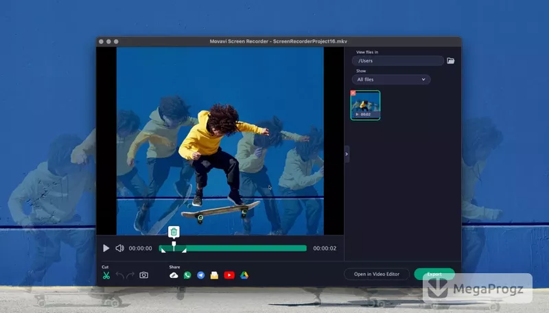 Movavi Screen Recorder