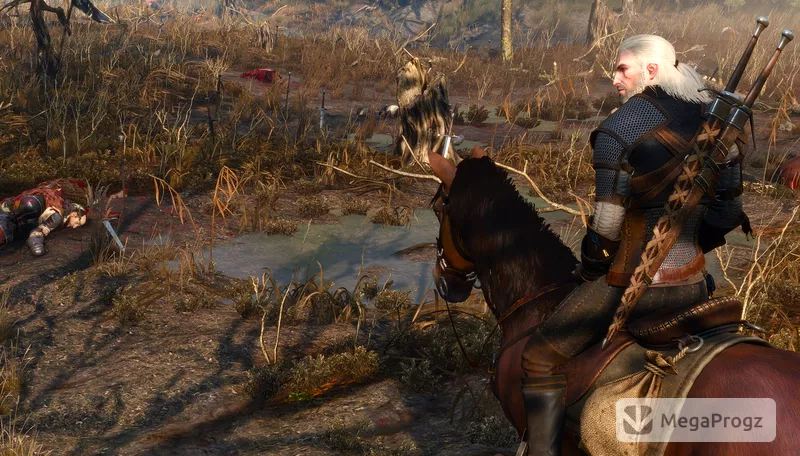 Witcher 3