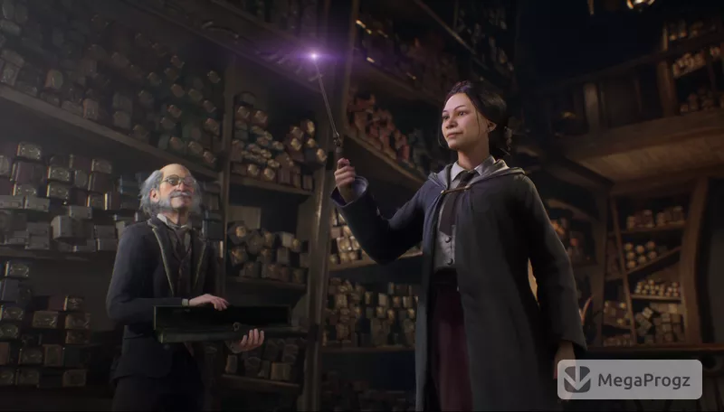 Hogwarts legacy