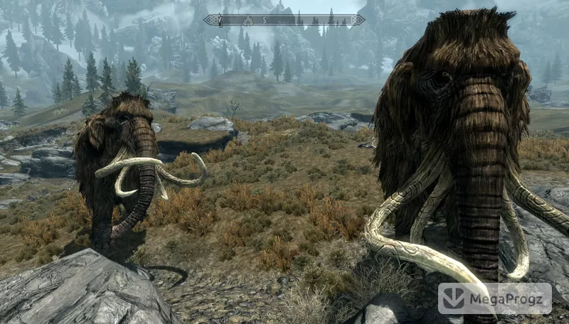 Skyrim