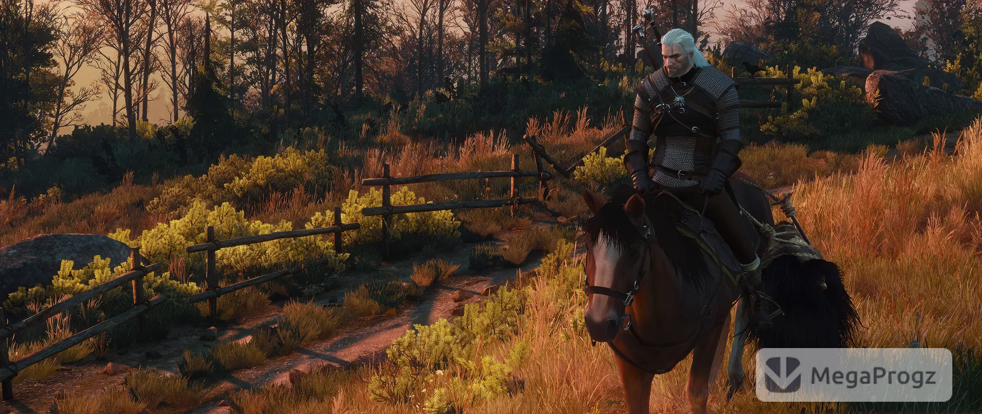 Witcher 3