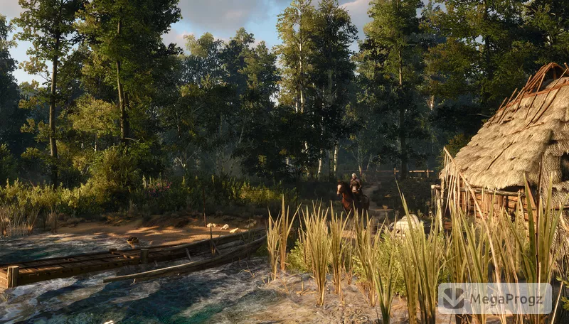 Witcher 3