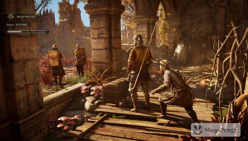 Assassins Creed Valhalla