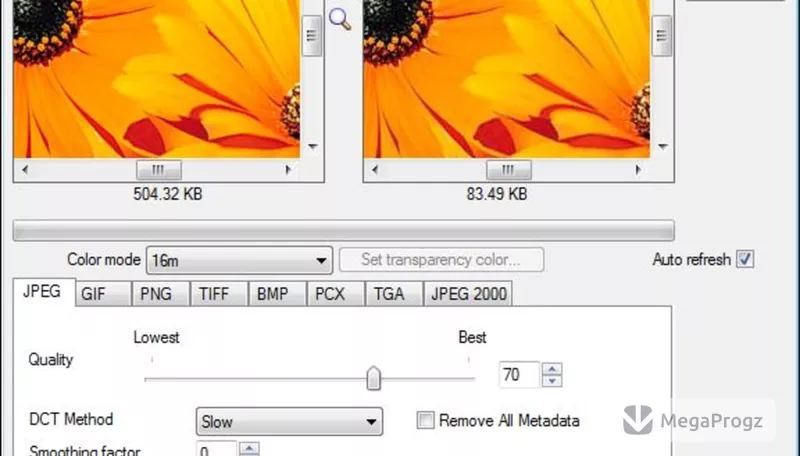 XnView