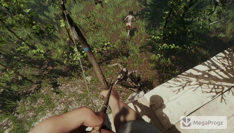 The Forest