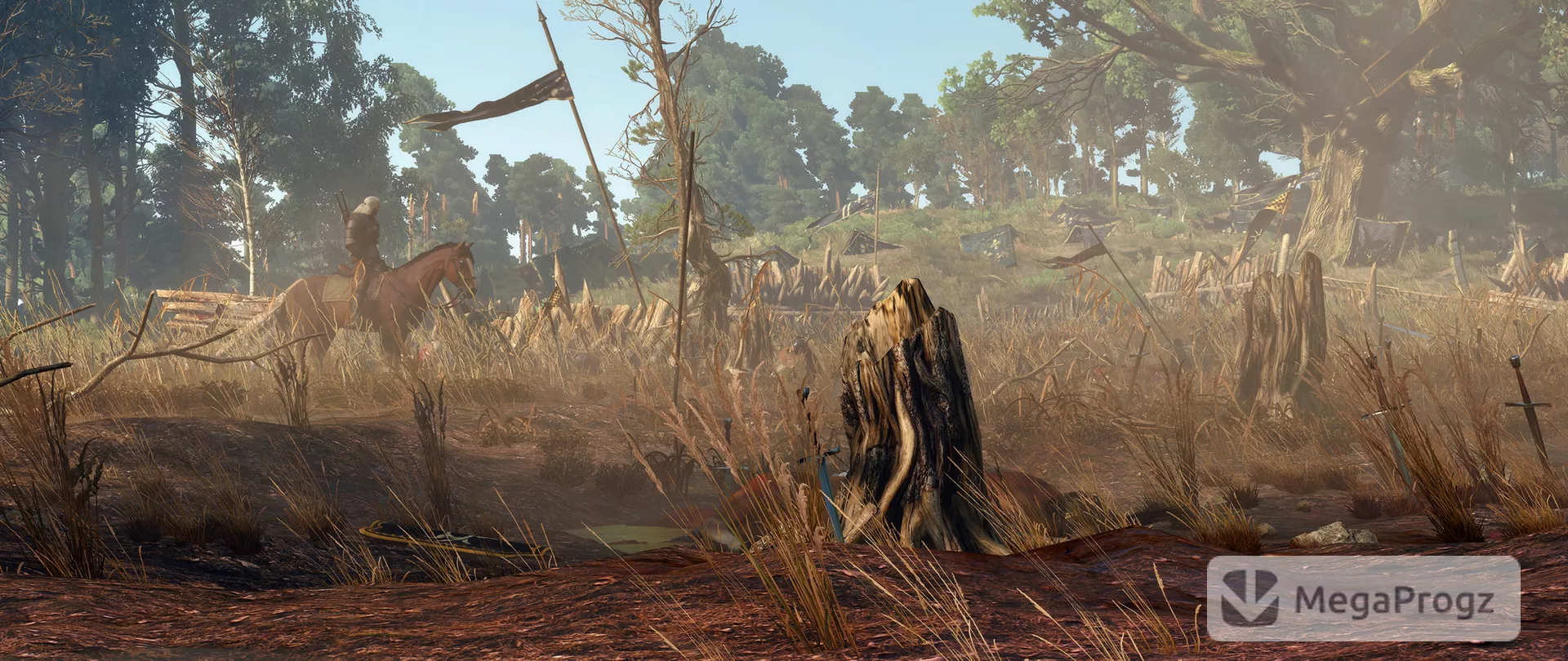 Witcher 3