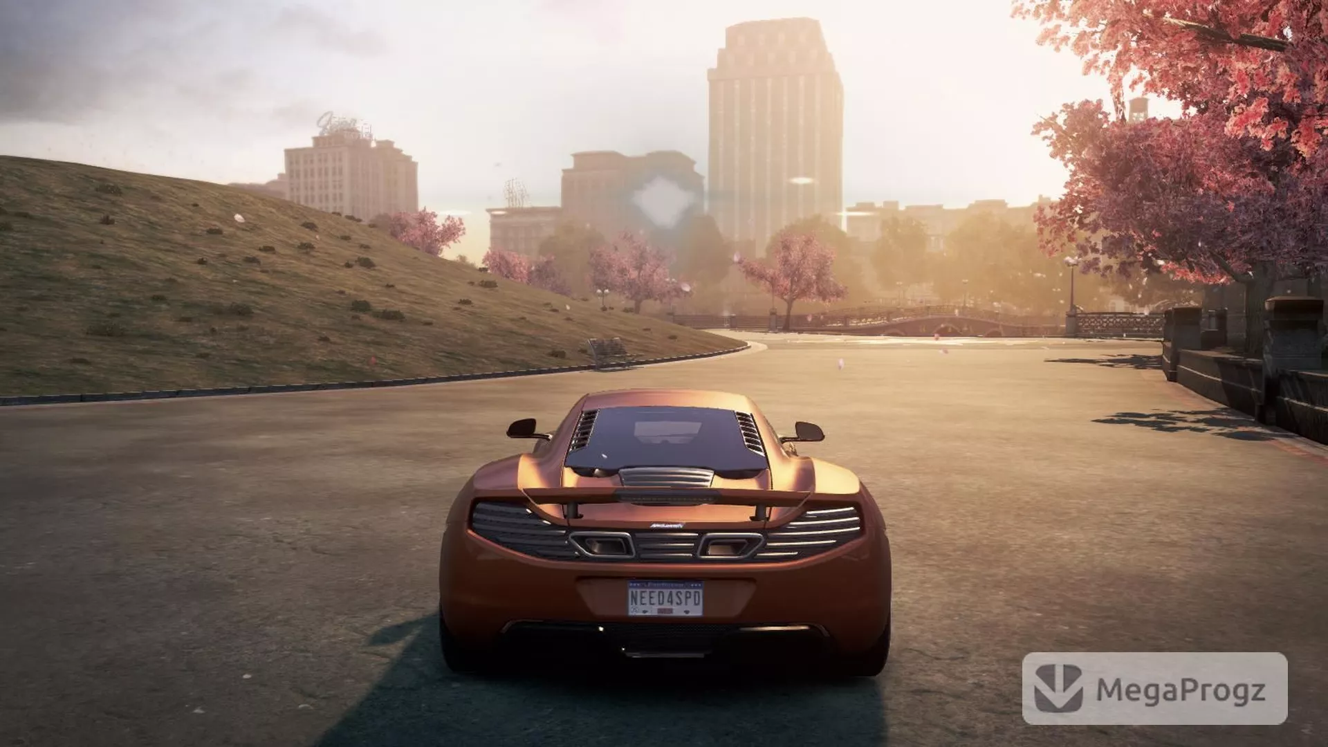 Need for Speed most wanted