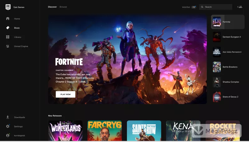 Epic Games Store