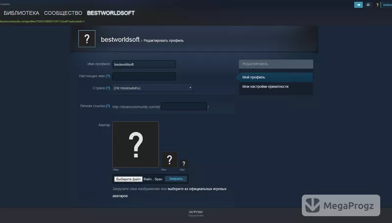 Steam