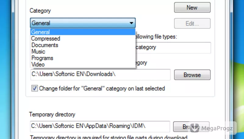 Internet Download Manager