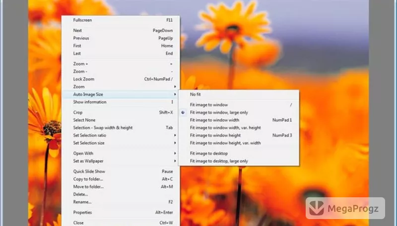 XnView