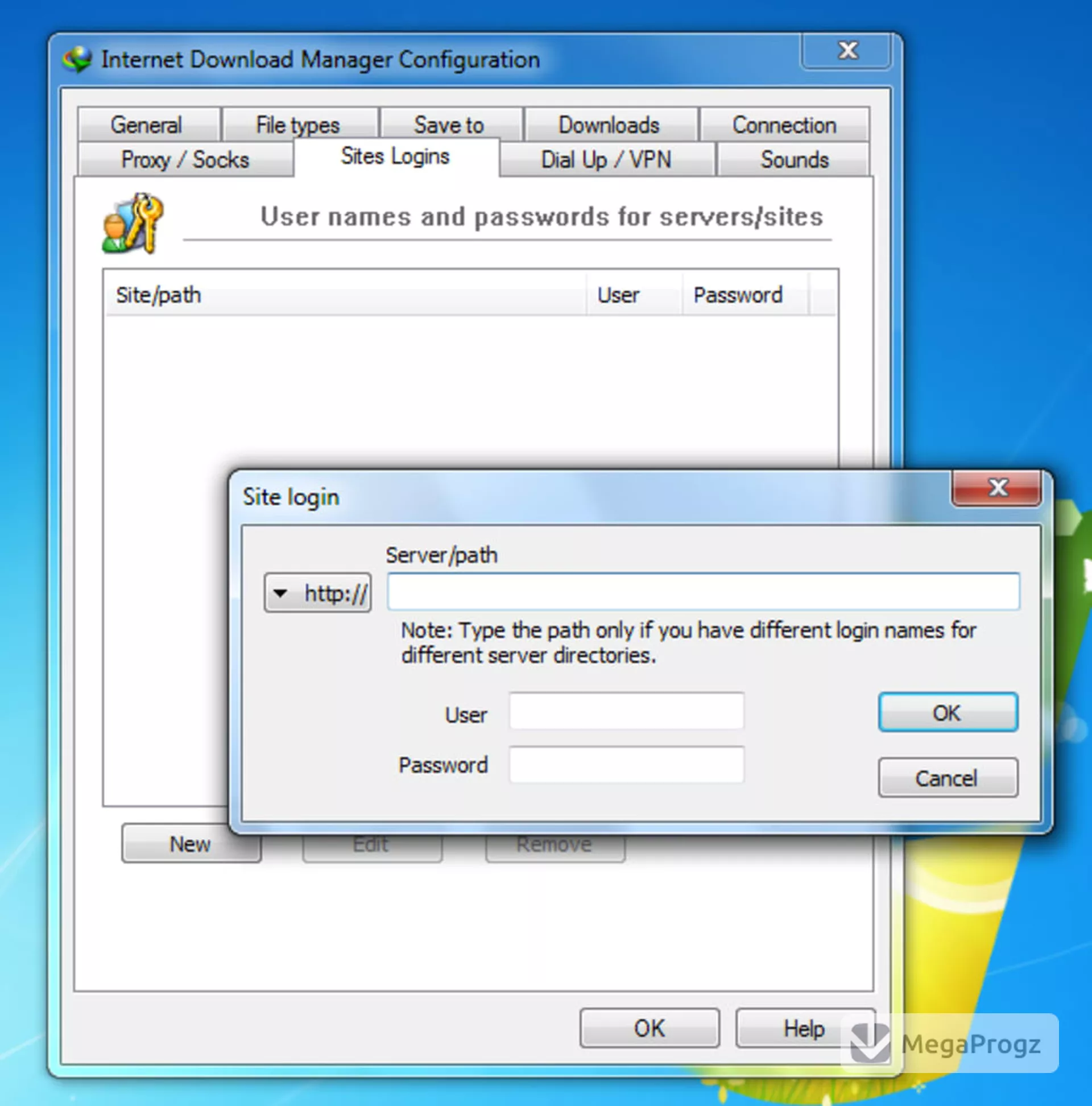 Internet Download Manager