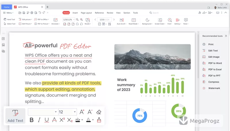 WPS Office