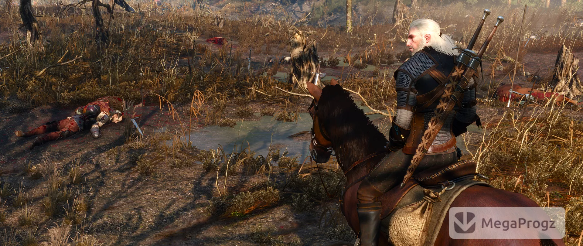 Witcher 3