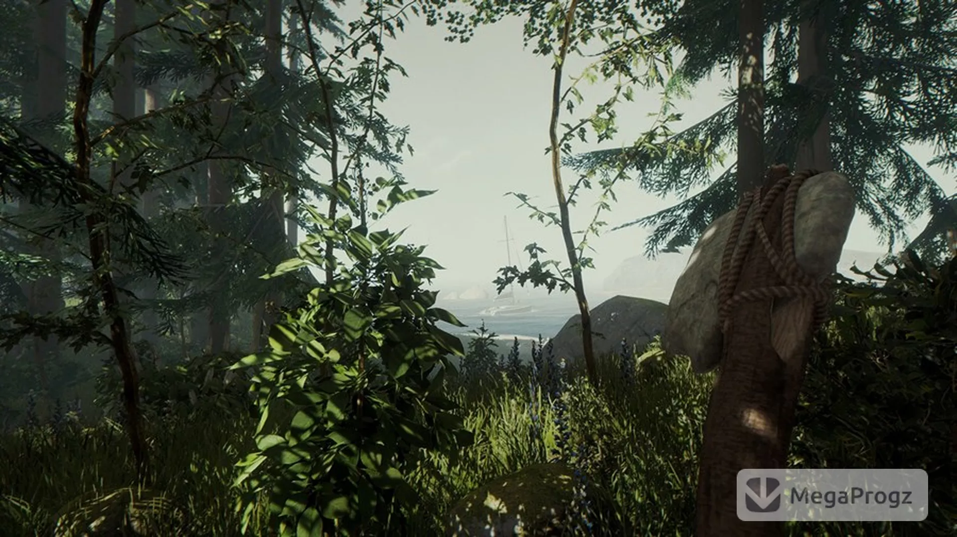 The Forest