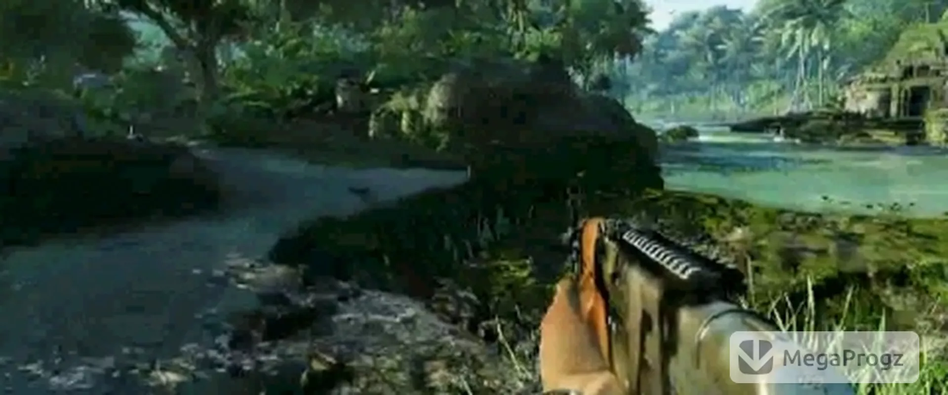 Far Cry 3