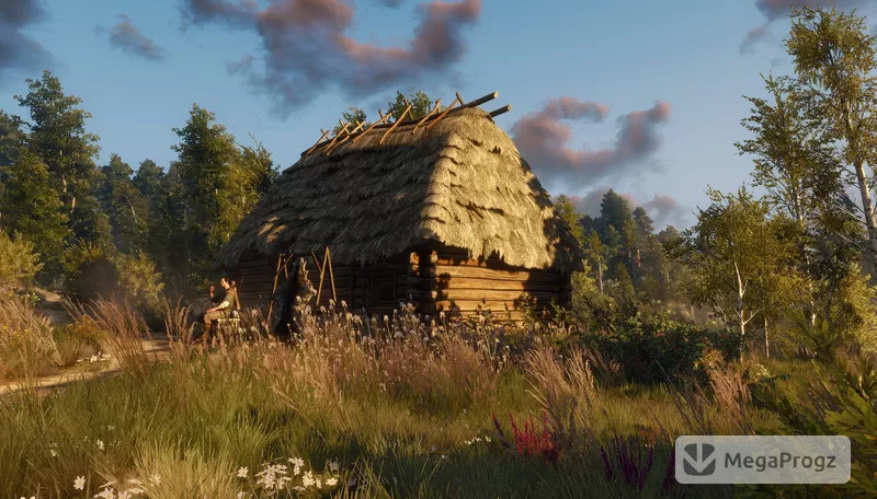 Witcher 3