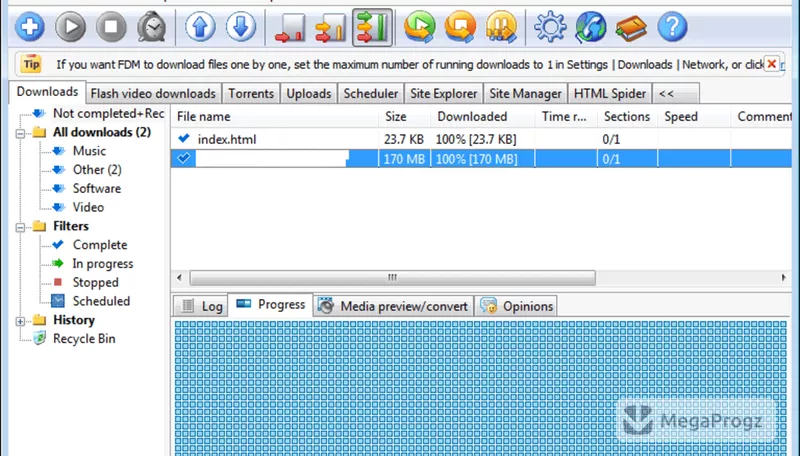 Free Download Manager