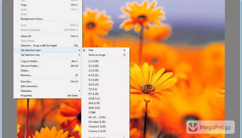 XnView