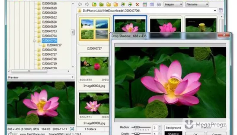 FastStone Image Viewer