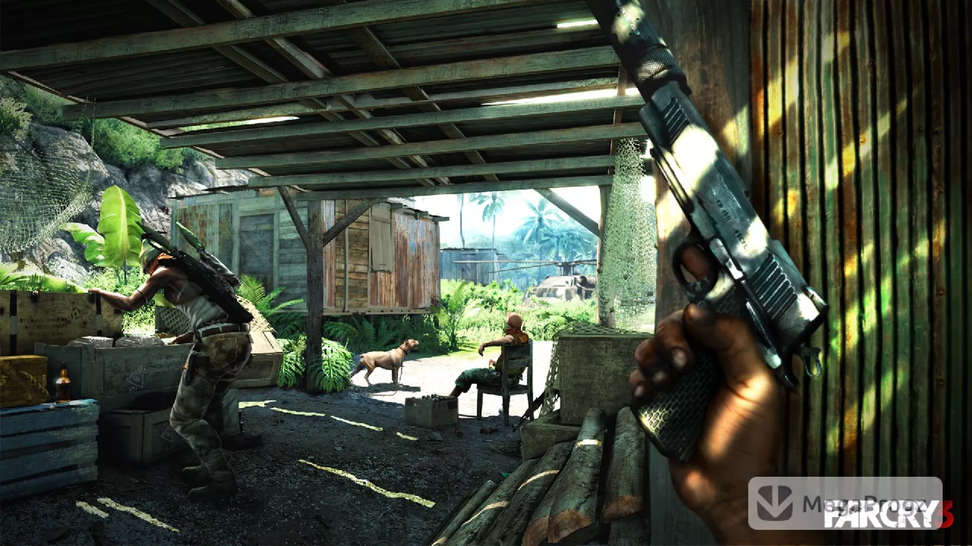 Far Cry 3