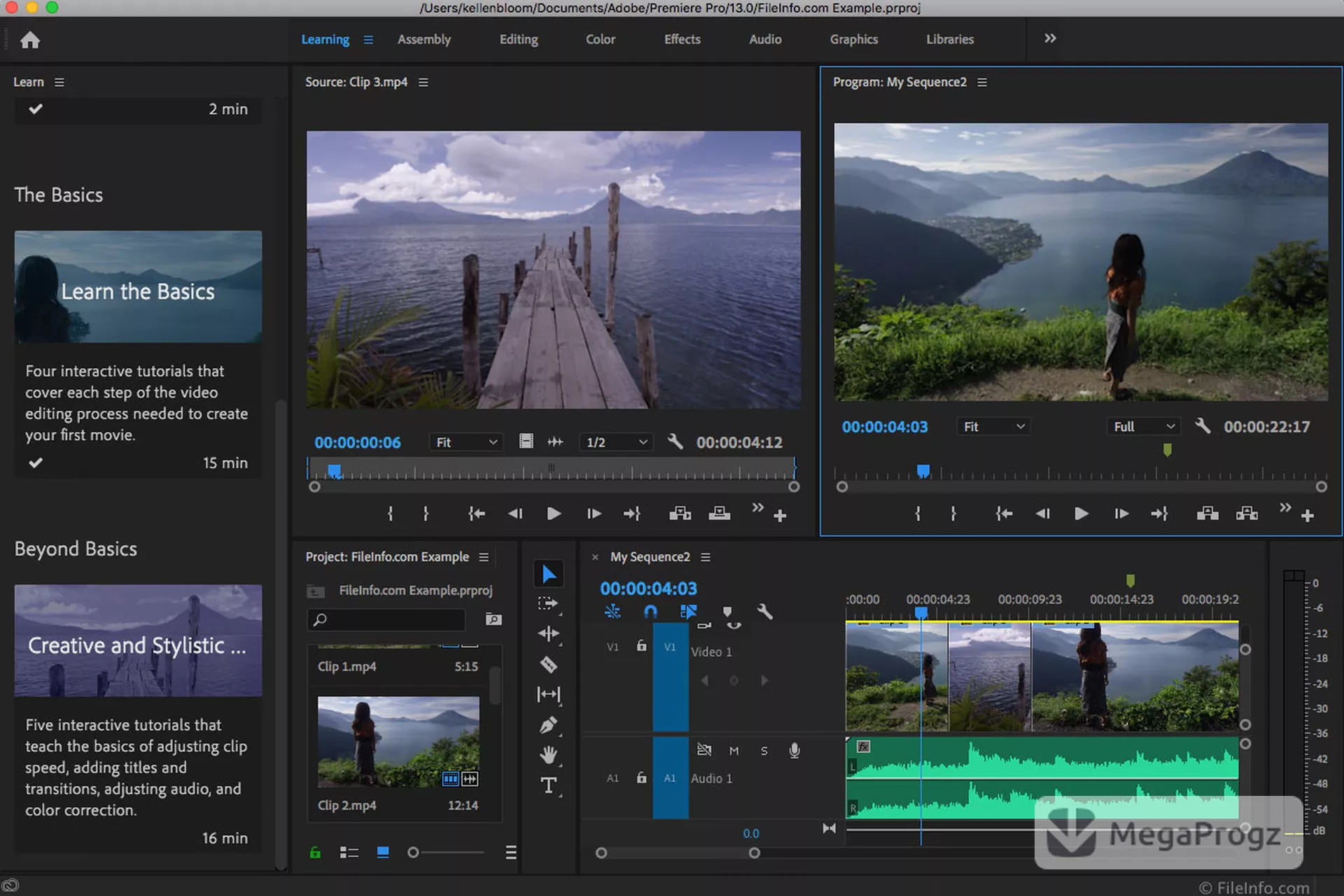 Adobe Premiere Pro