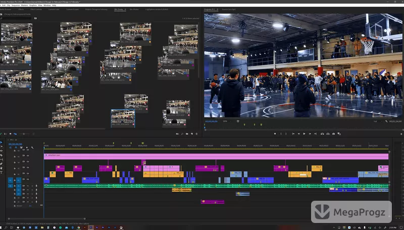 Adobe Premiere Pro