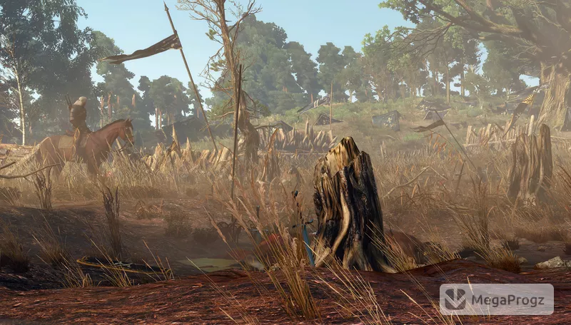 Witcher 3
