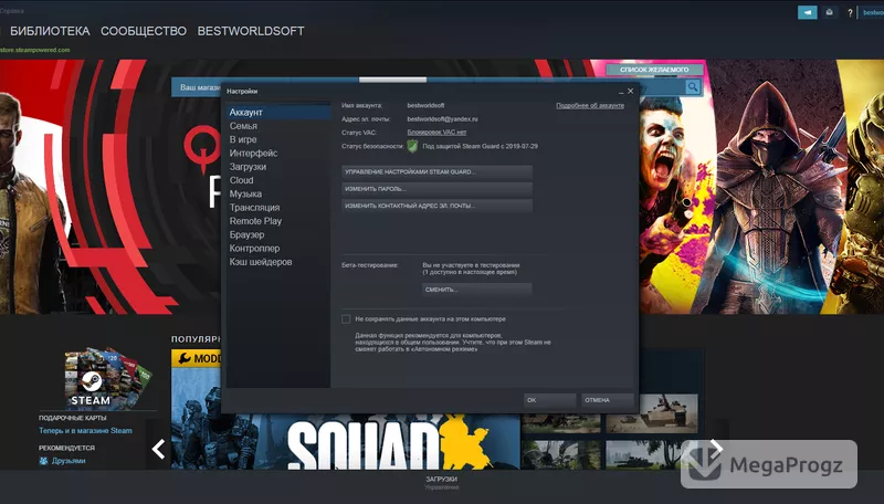 Steam