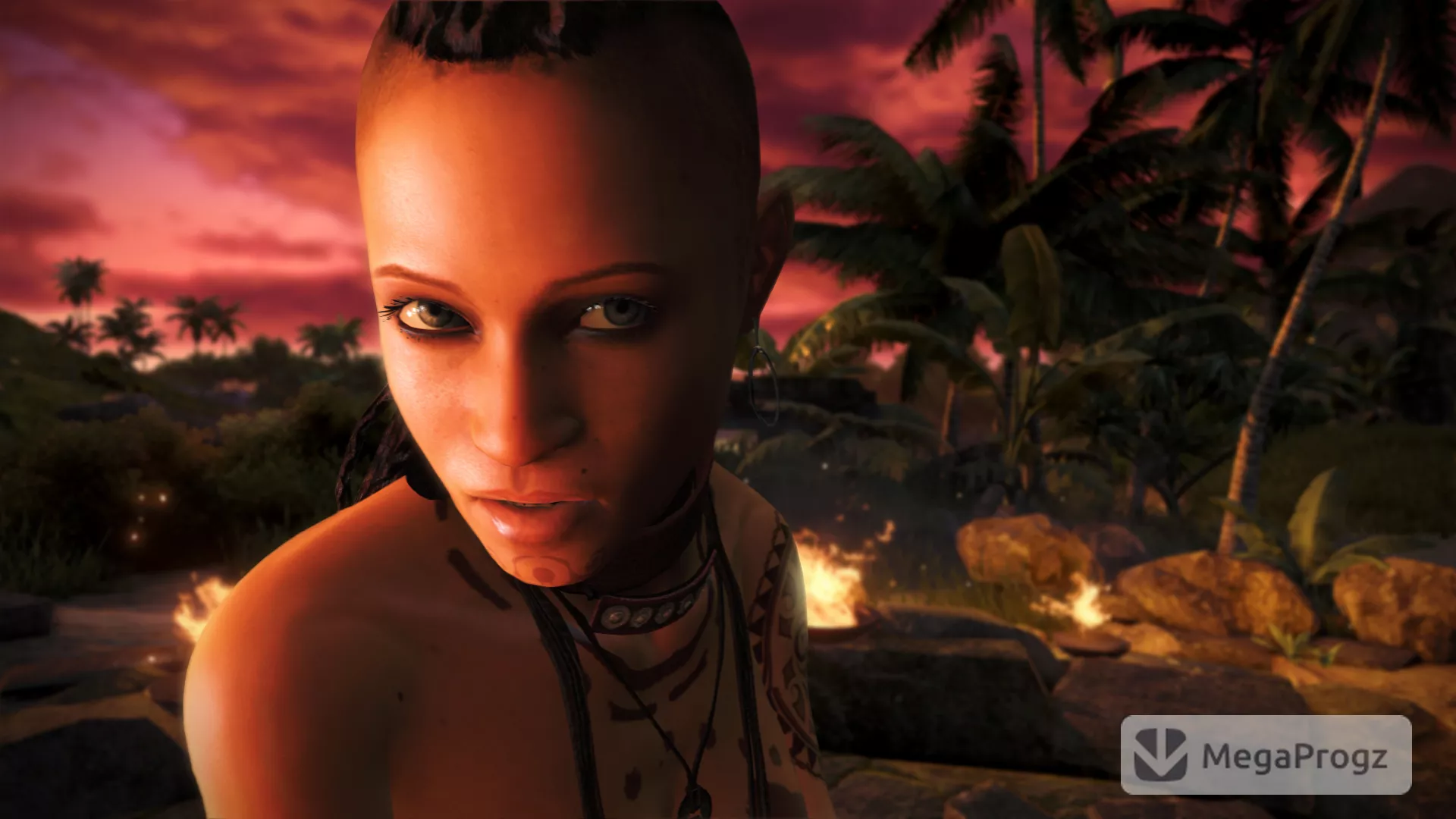 Far Cry 3