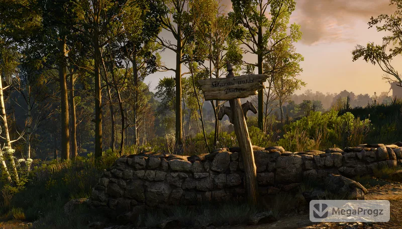 Witcher 3