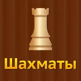 Шахматы