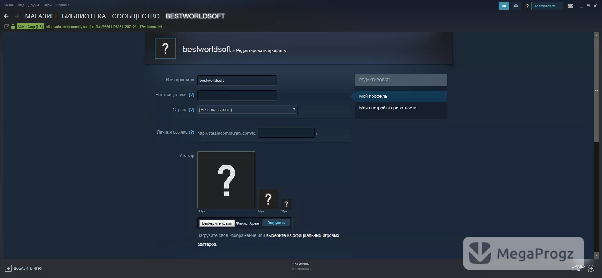 Steam